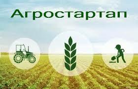 Камчатские начинающие сельхозпроизводители могут получить грант на развитие своего хозяйства